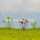 Bead bud land flowers