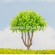 simulated leaf tree 02