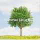 simulated leaf tree 20