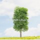 simulated leaf tree 21