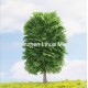 simulated leaf tree 23