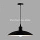 LHM732 metal ceiling lamp