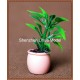 ABS flower pot 15---flower pot architectural model pot