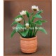 ABS flower pot 21---flower pot architectural model pot