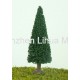 pine tree 13
