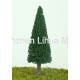 pine tree 13