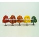 pine tree 23
