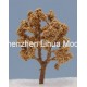 wood color wire tree 05