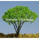 silk leaf wire tree 49A